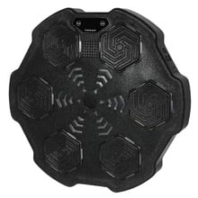 Raju Electronic Boxing Machine